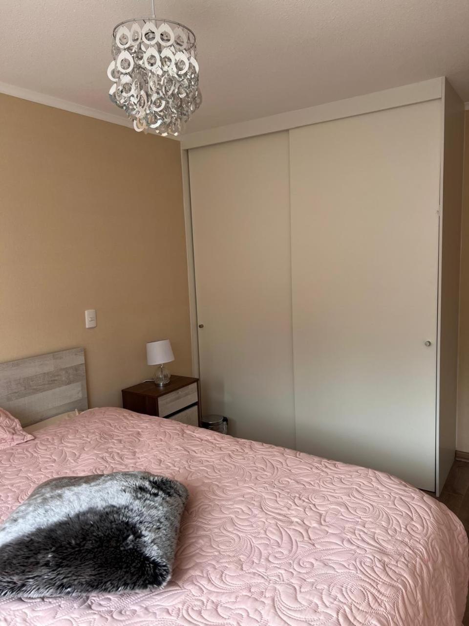 Apartamento Departamento En De Coni Pucón